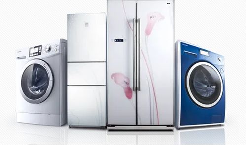 樂存自助倉 家電設(shè)備與舞蹈培訓(xùn)器材的理想存儲(chǔ)解決方案